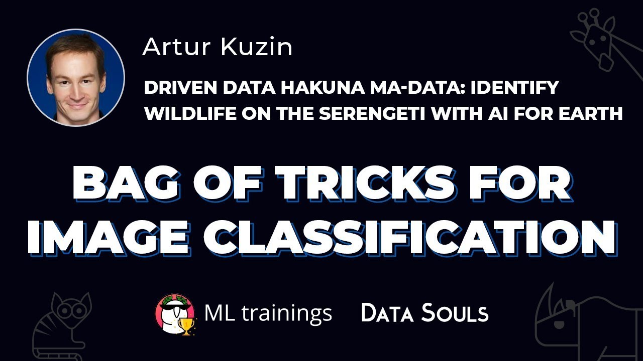 Bag of tricks for image classification — Artur Kuzin