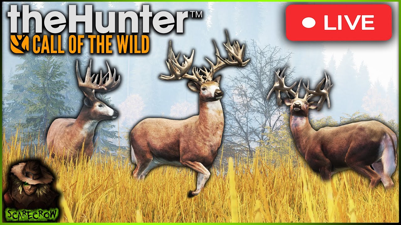 🔴LIVE🔴 GREAT ONE & A Big Albino On The Map During The Great One Whitetail Grind! Call of the wild