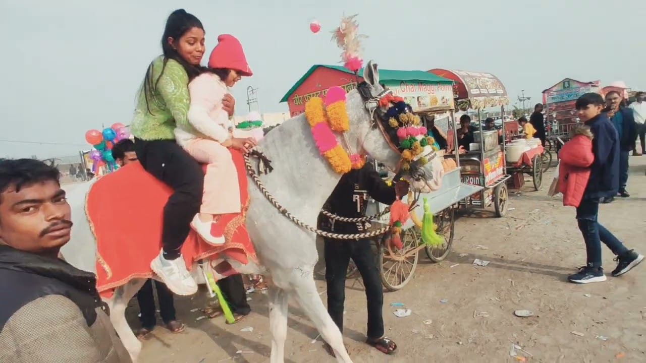 Mauli kahan gaye ghumne🥰🥰