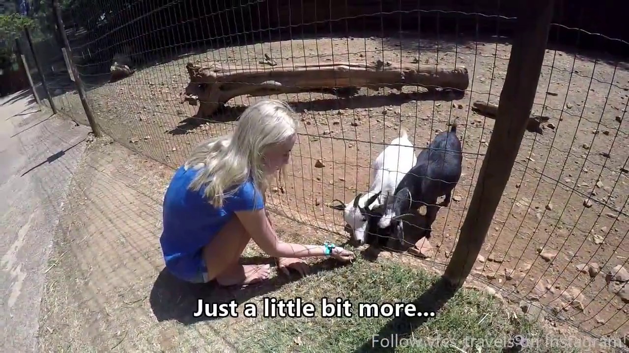 Krazy World Petting Zoo and Fun Park - Touring the Algarve Portugal