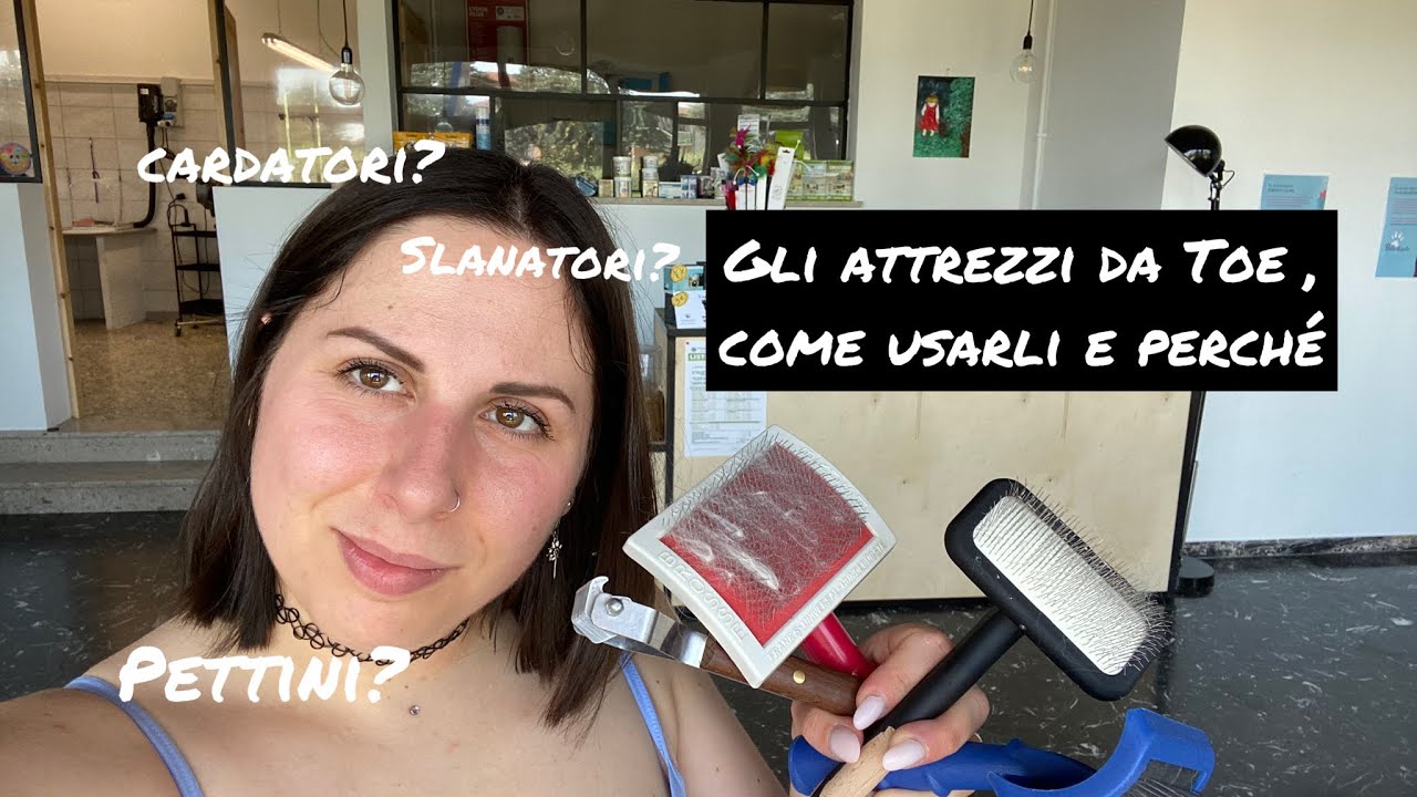 Gli attrezzi da toelettatura, qual’è quello più giusto da usare?