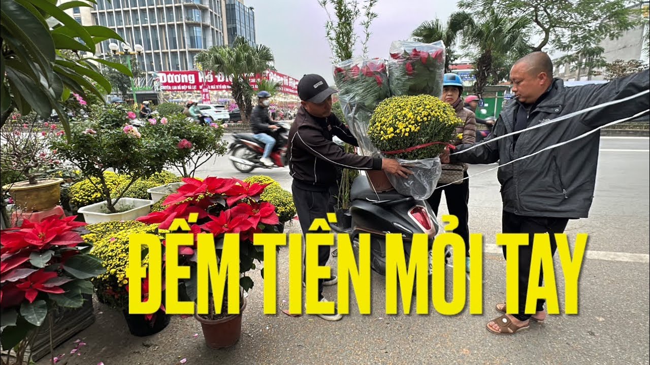 CHỢ PHIÊN BONSAI VẠN PHÚC, ĐẮT HÀNG TỪ SÁNG SỚM, ANH KẾ BÁN MỎI TAY, TẾT VỀ