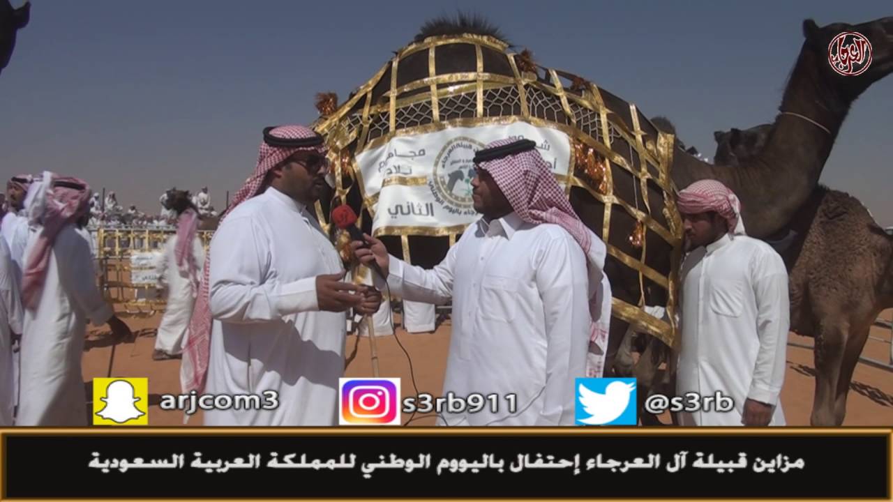 مزاين آل العرجاء إحتفال باليوم الوطني النتايج توزيع الجوائز