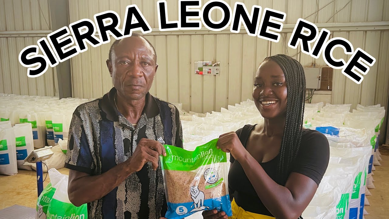 This Company Is Changing Rice Production in Makeni, Sierra Leone | Mountain Lion 🇸🇱