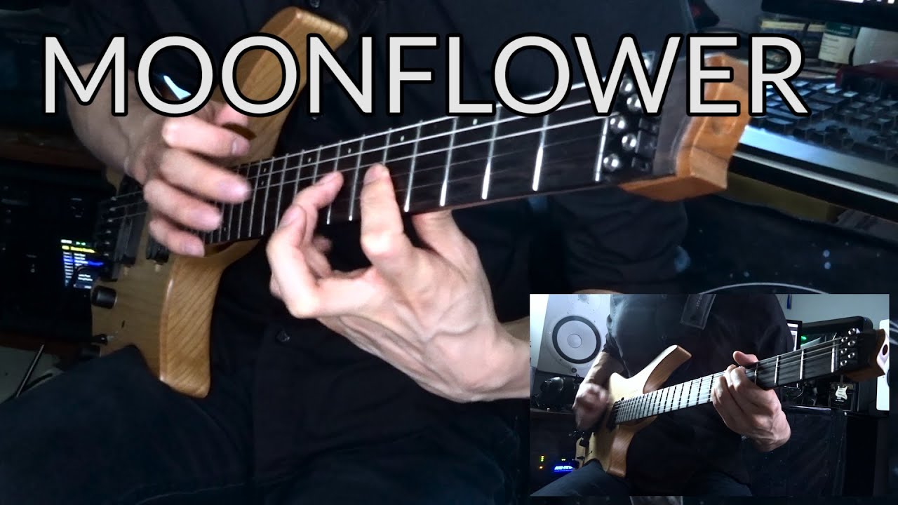 Plini - Moonflower (All Guitar Parts Cover)