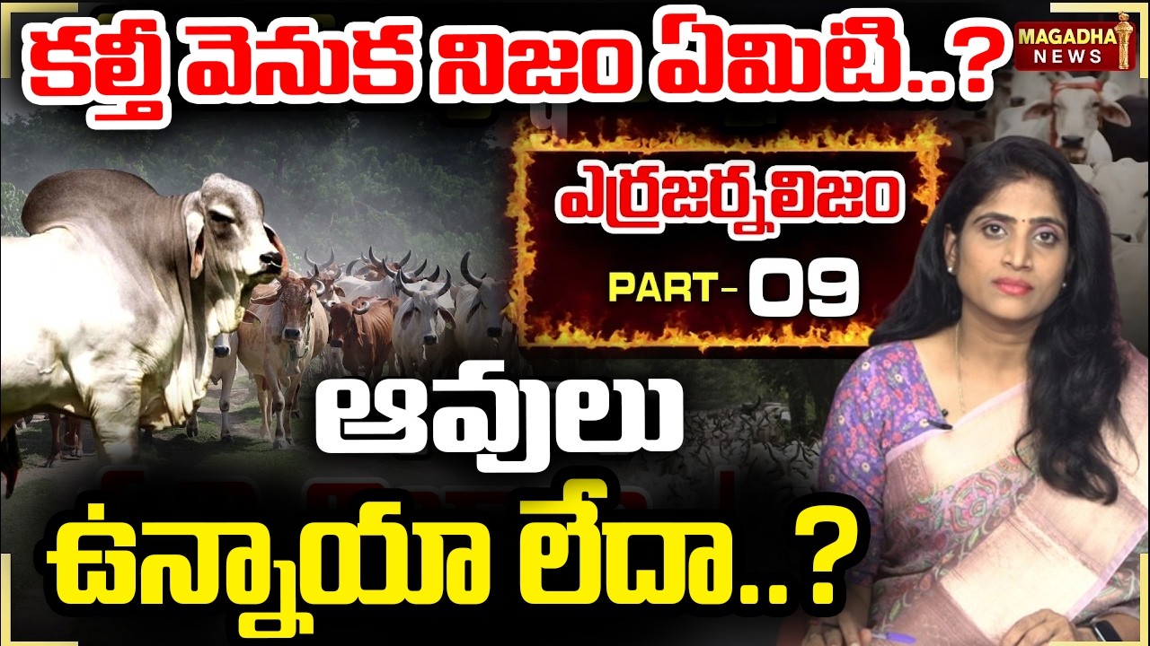 కల్తీ వెనుక నిజం ఏమిటి..?ఆవులు ఉన్నాయా లేదా..? | Erra Journalism Part 9 | SS Lakshmi Analysis