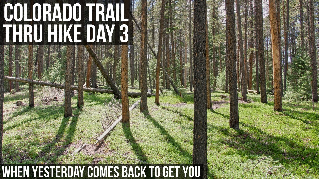 Colorado Trail Thru Hike Day 3 | When Yesterday  Comes Back To Get You