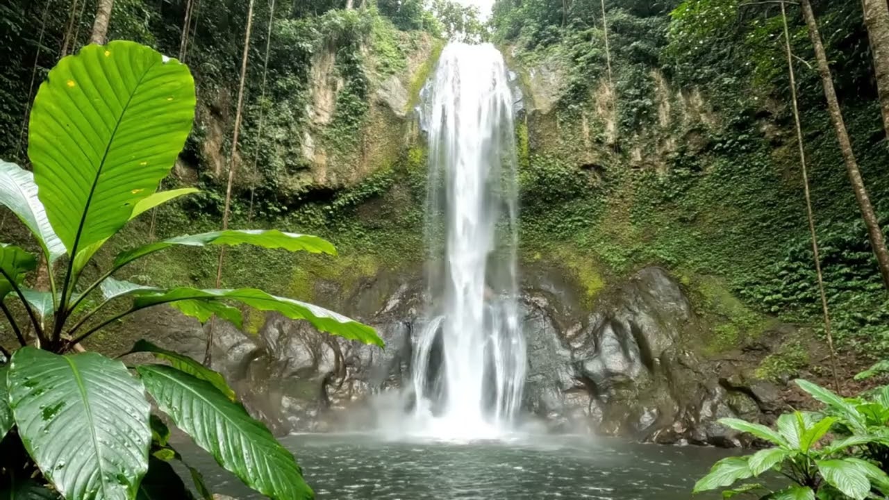 Whispering Water & Tender Keys: ASMR Tropical Waterfall & Piano Journey