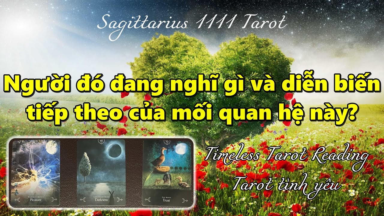 TAROT TÌNH YÊU: NGƯỜI ĐÓ ĐANG NGHĨ GÌ VÀ DIỄN BIẾN TIẾP THEO? CHỌN 1 LÁ BÀI | #timeless #tarot