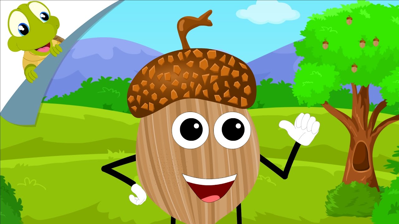 I'm a Nut Nursery Rhyme for Kids