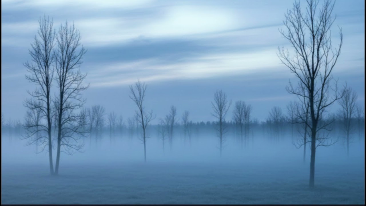 Deep Calm for Focus & Relaxation
