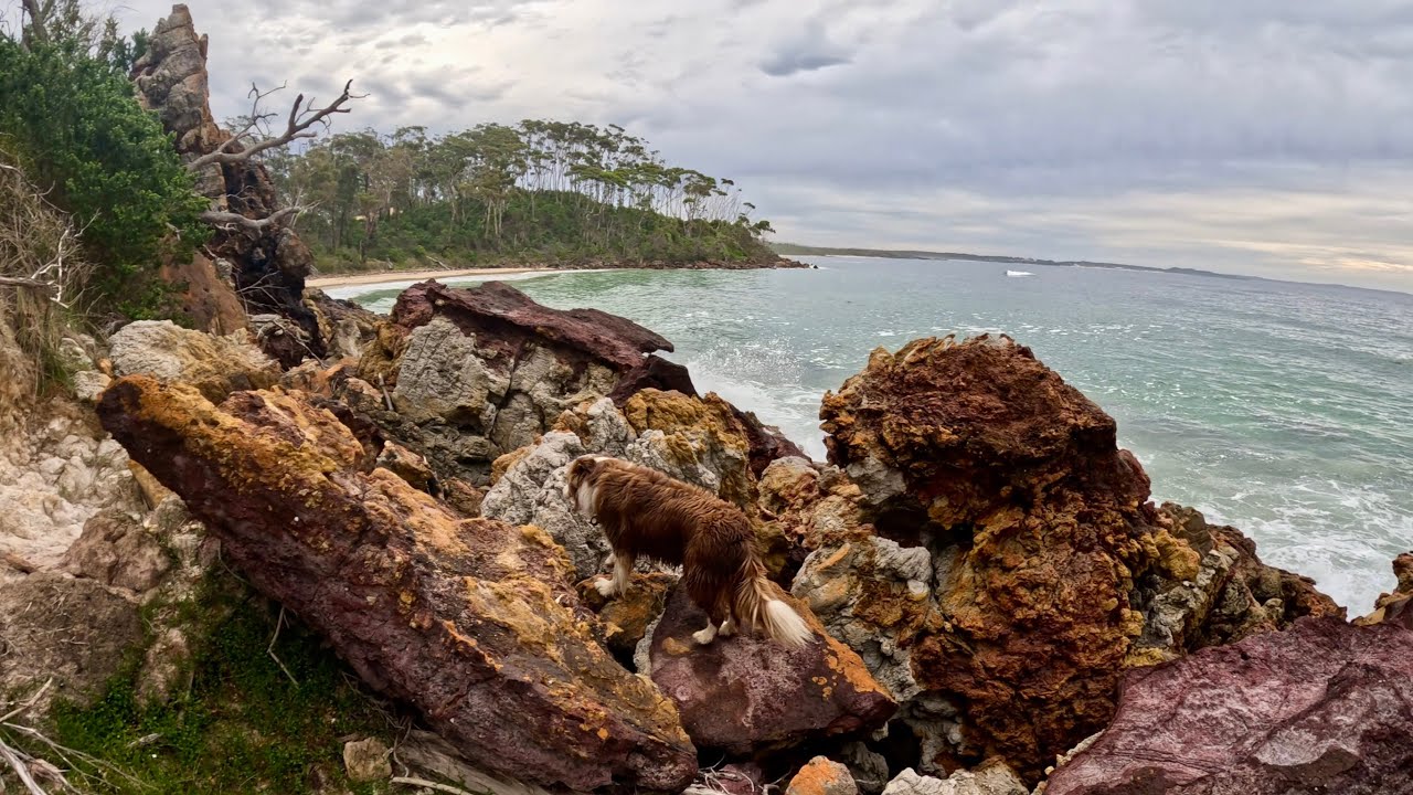 Hike 27: Exploring colourful headlands and creeks along Australia’s NSW South Coast