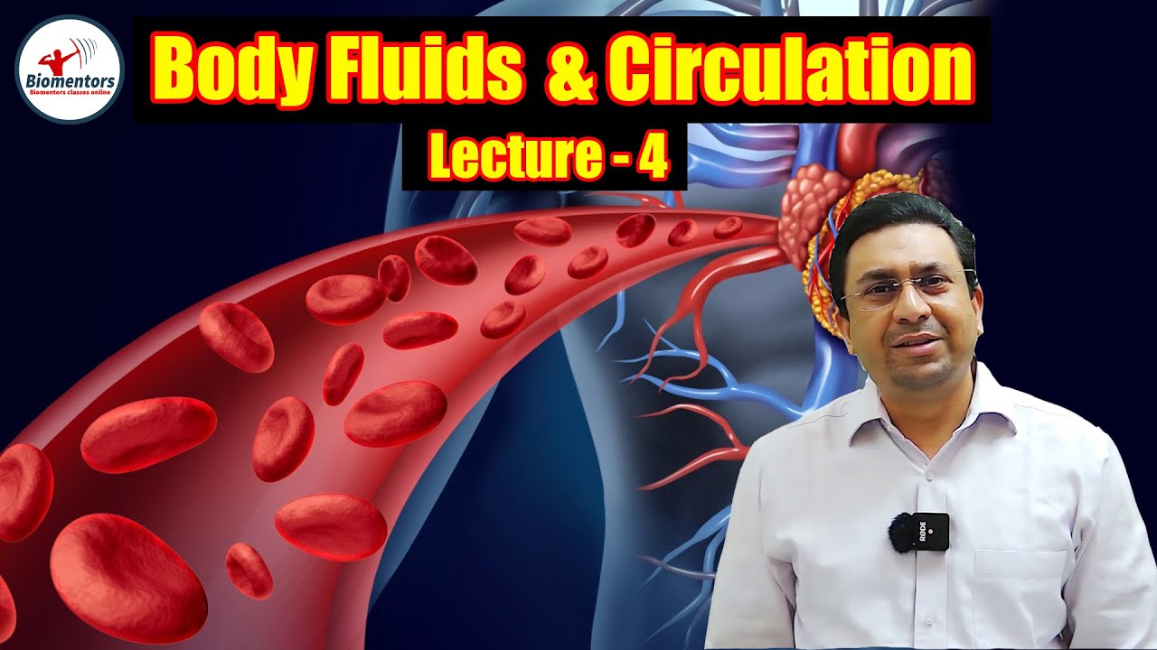 Body Fluids & Circulation l Lecture 4 l Biology l NEET