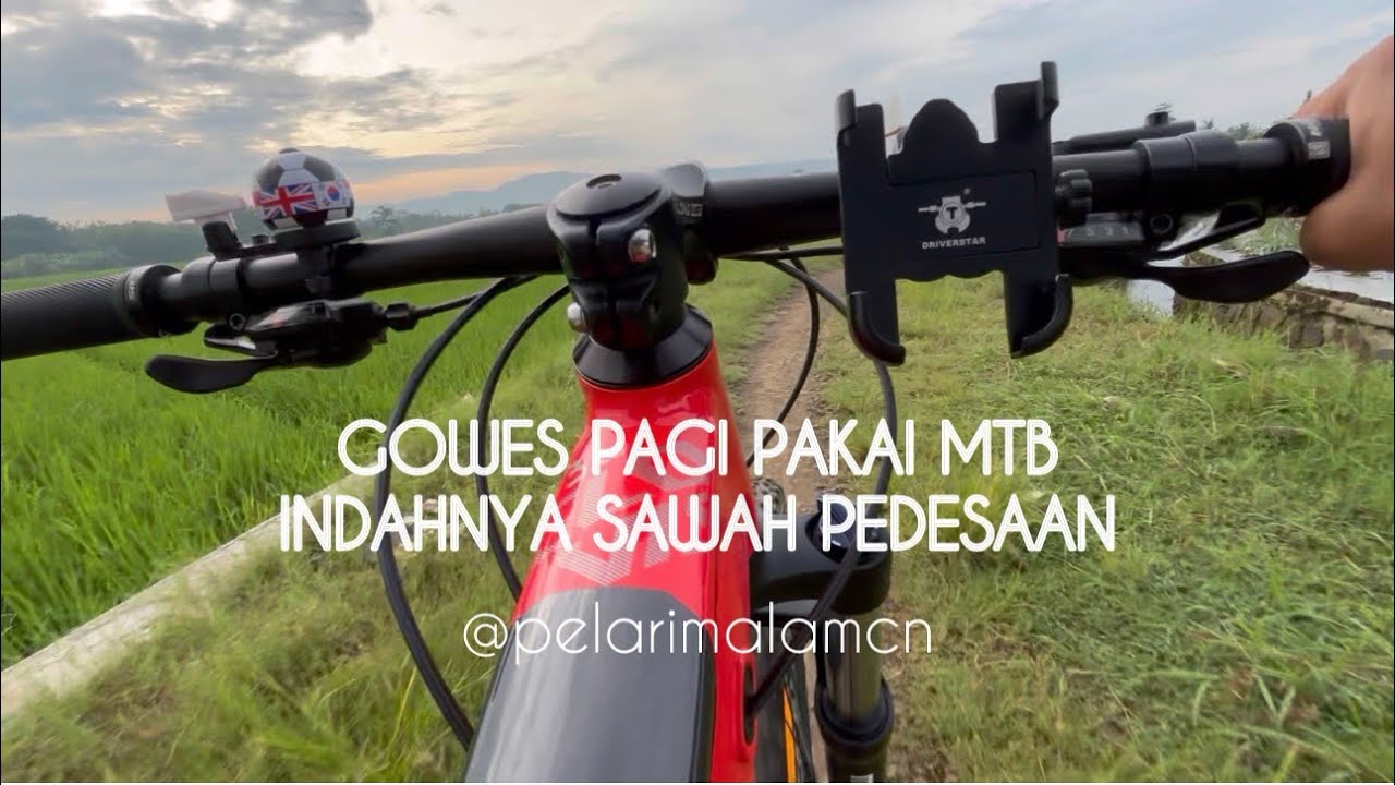 GOWES PAGI, Indahnya sawah pedesaan #sawah #sawahpedesaan #alampedesaan #udarasegar #udarabersih 