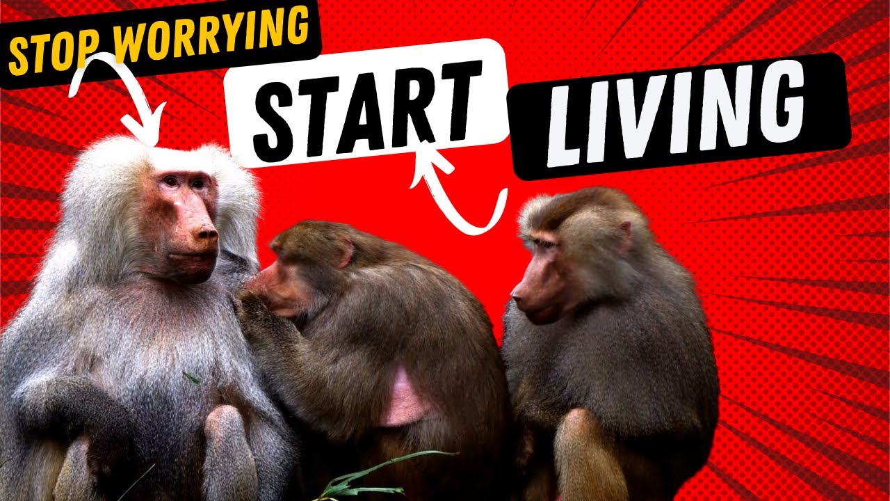 Stop worrying and start living motivation quotes