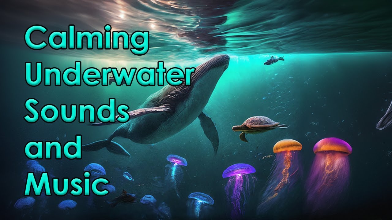 Calm Ocean music and sound to stop anxiety, overwhelm, and agitation. Helps ADHD, sensory overwhelm.