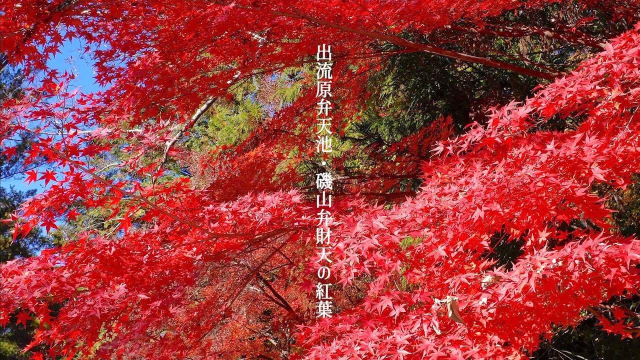 出流原弁天池・磯山弁財天の紅葉　〜2025年11月28日〜