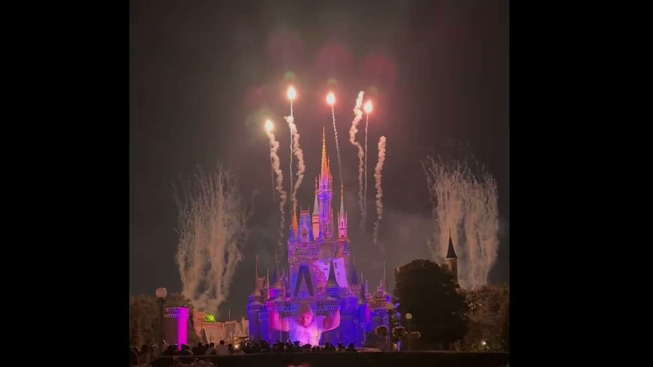 Day 13 Part2: Tokyo Disneyland Fireworks ✨ Reach for the Stars | Night Show | Japan Travel Vlog