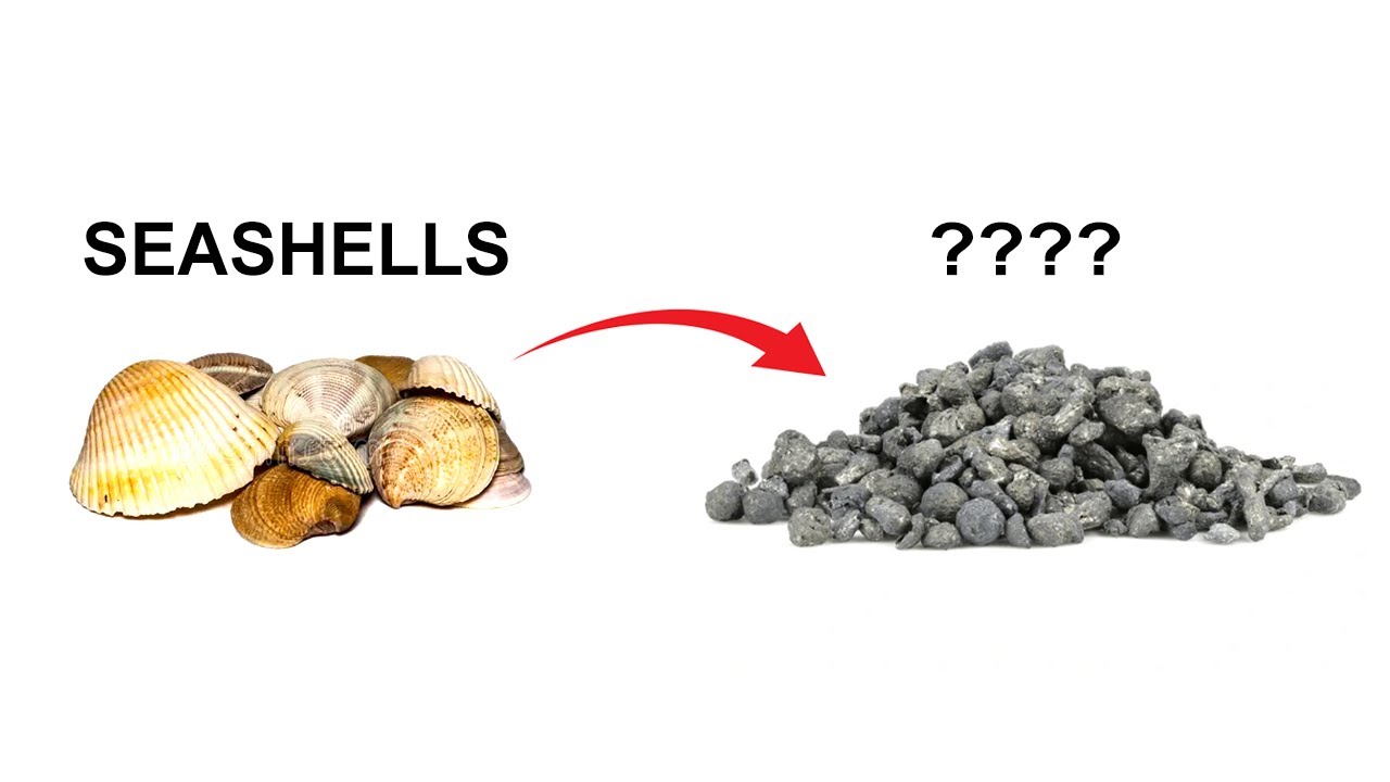 Making Calcium metal from seashells