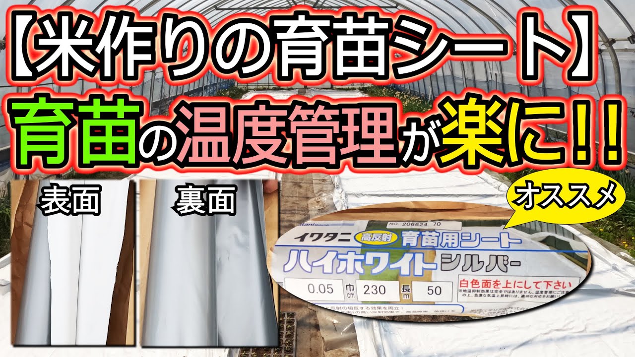 【盛岡・密苗】稲苗、育苗の温度管理が楽に！イワタニ ハイホワイトシルバー