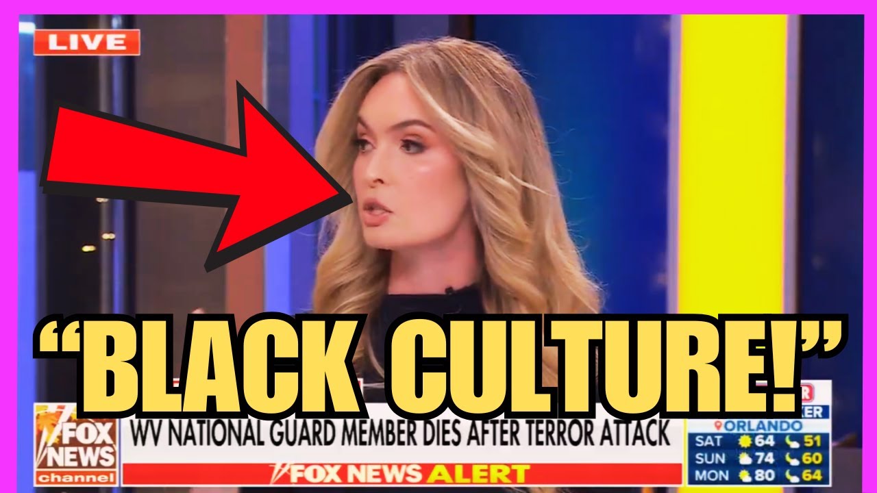 Fox News Hosts HUMILIATED For INSANE MAGA Panel!