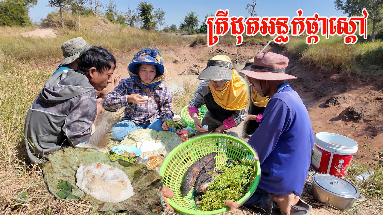 មួយឆ្នាំមានម្ដង​បូមស្រះ ត្រីដុតអន្លក់ផ្កាស្ដៅ​ បាយខ្ចប់ស្លឹងឈូក​ឆ្ងាញ់ៗ