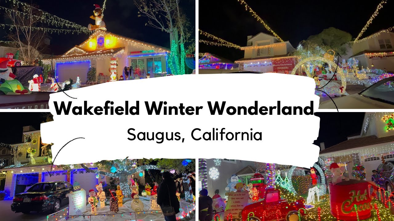 Amazing Christmas Light Displays at Wakefield Winter Wonderland // Christmas in Santa Clarita