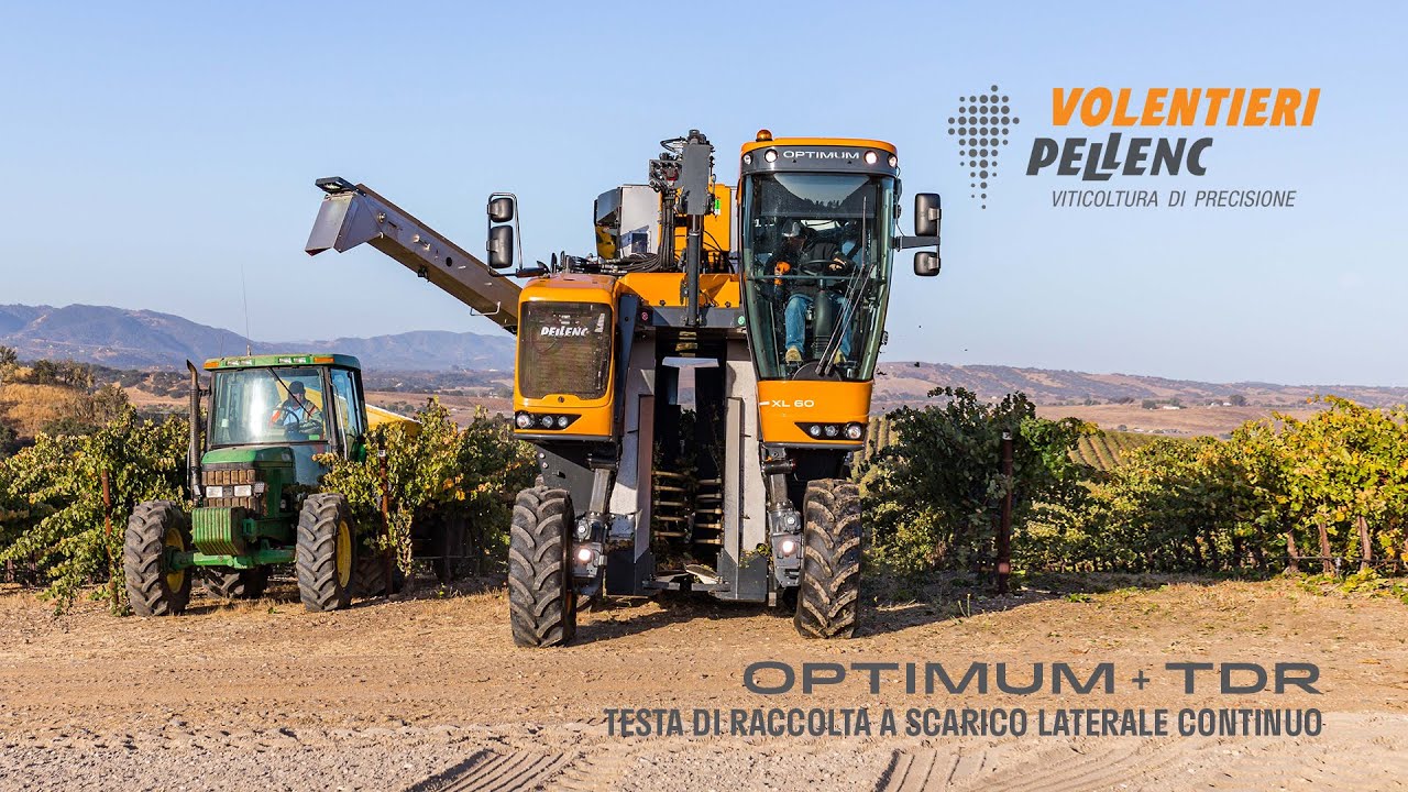 Testa di raccolta XLE SP2 con sistema di scarico laterale in continuo