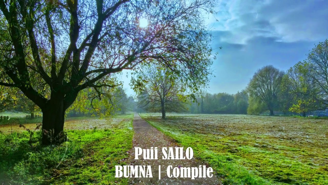 BUMNA | Compile - 2 | Puii Sailo