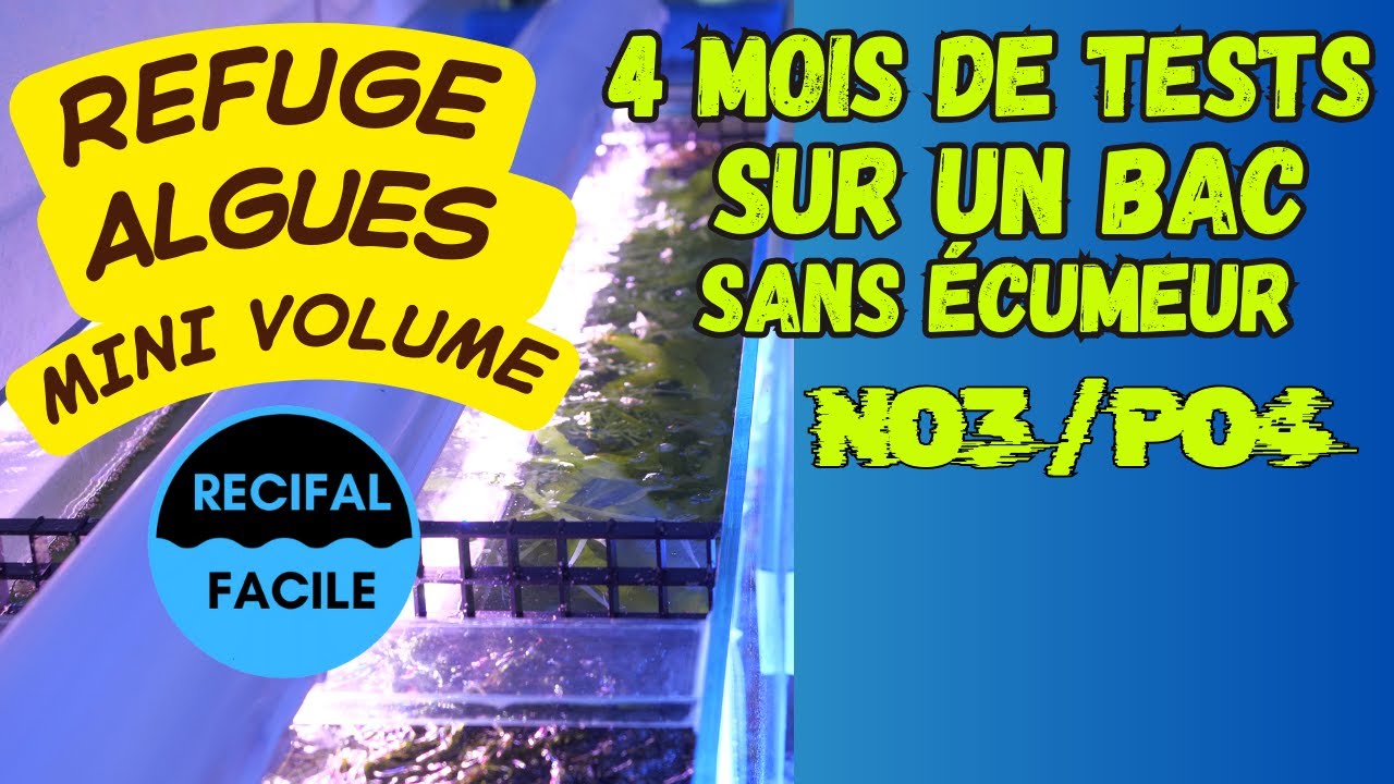 Le VRAI test d'un refuge à algues de petit volume.