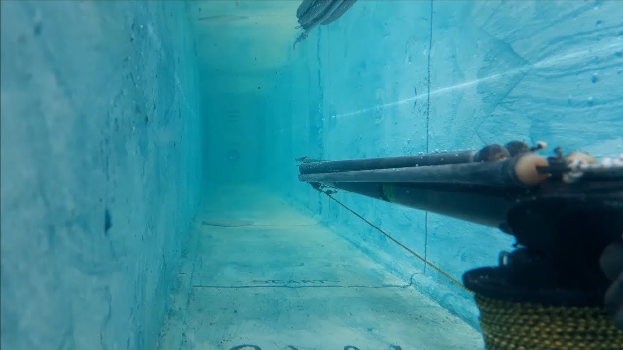 Arbalete in fibra di carbonio VS Arbalete in legno (2° parte)
