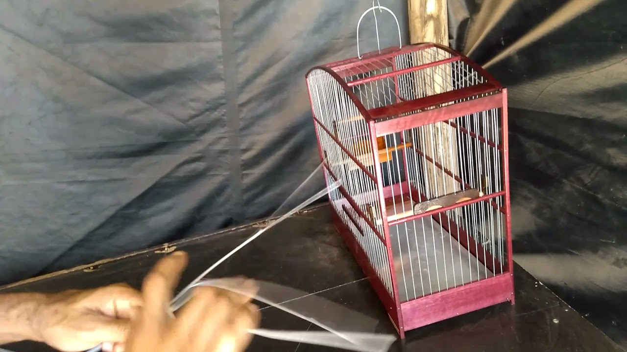 arame de inox pra gaiola top 😱😱😱🔥🔥🔥não compre arame antes de ver este vídeo😱😱😱😱