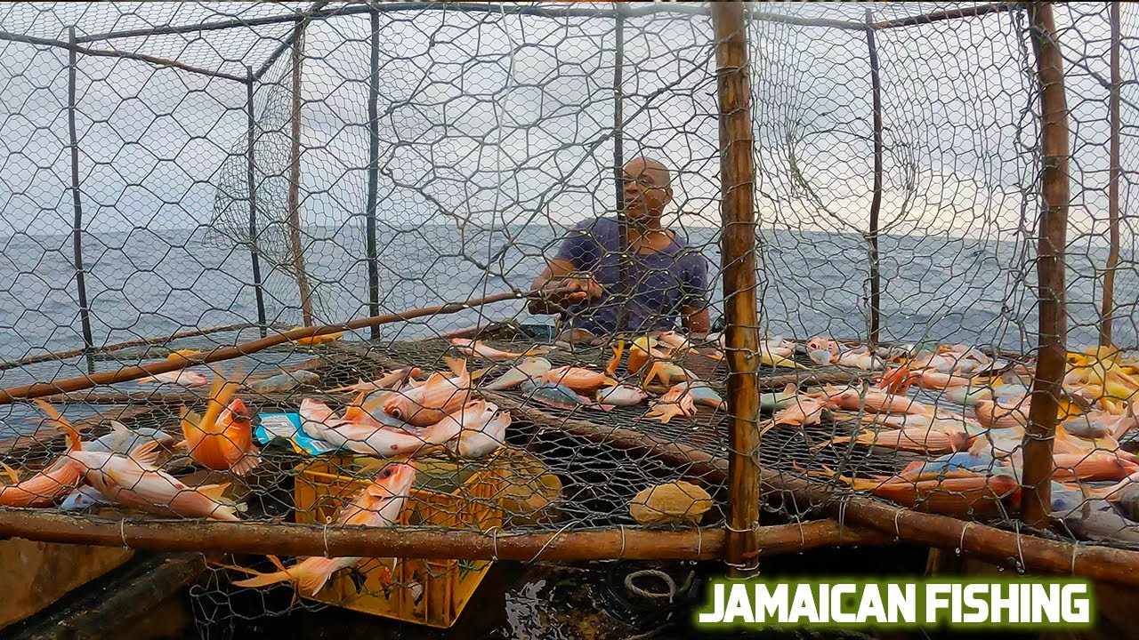 FISHING FOR FOOD IN JAMAICA WITH REAL FISHERMEN [CATCH & COOK]