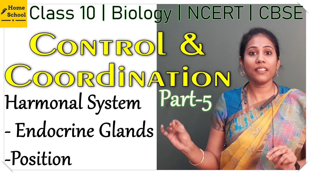 Control and Coordination | Part 5 | Class 10 Biology | CBSE | NCERT 2022