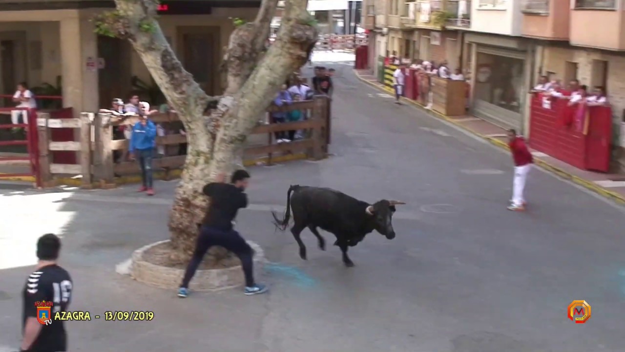 Tv Azagra - 13/09/2019 - Fiestas - Encierro Matinal