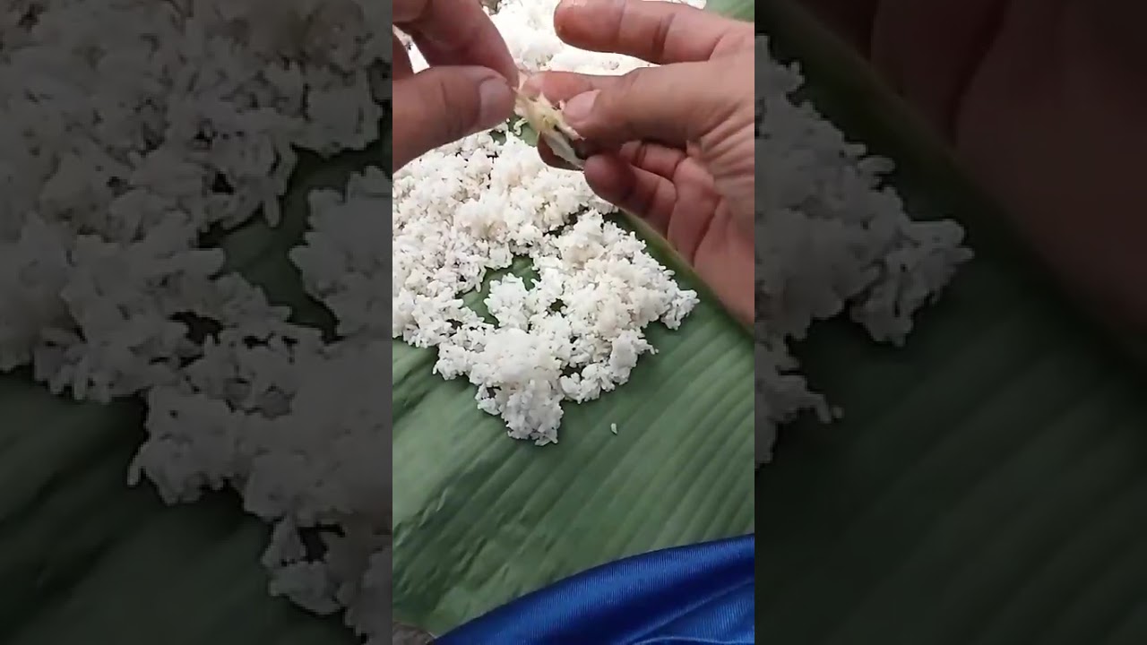 Hunter fish paser mania hasik berburu langsung dimasak