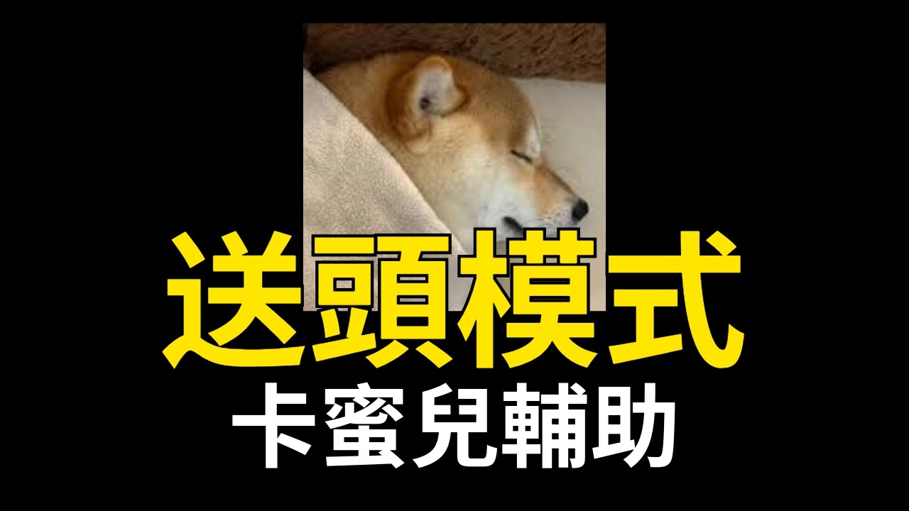 [韓可爾] 札克這個開局怎麼玩 哈哈哈 卡蜜兒輔助