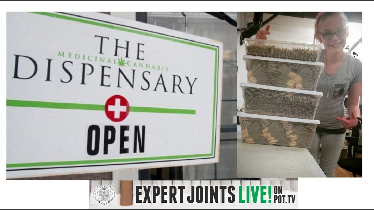 EXPERT JOINTS LIVE! - 