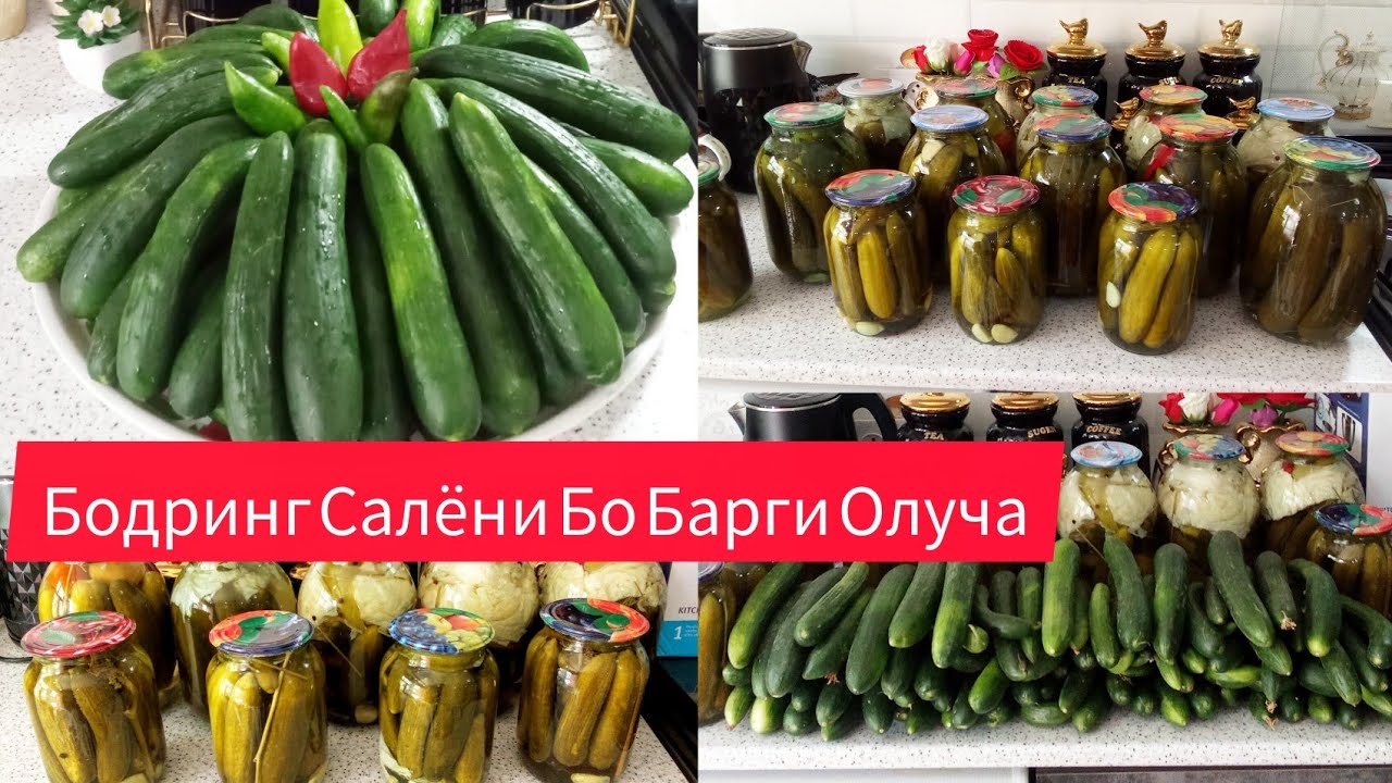 Бодиринг🥒Барои Зимистон Махкам Кардам Бо Хама Секретош Чавоби Каментария 😱