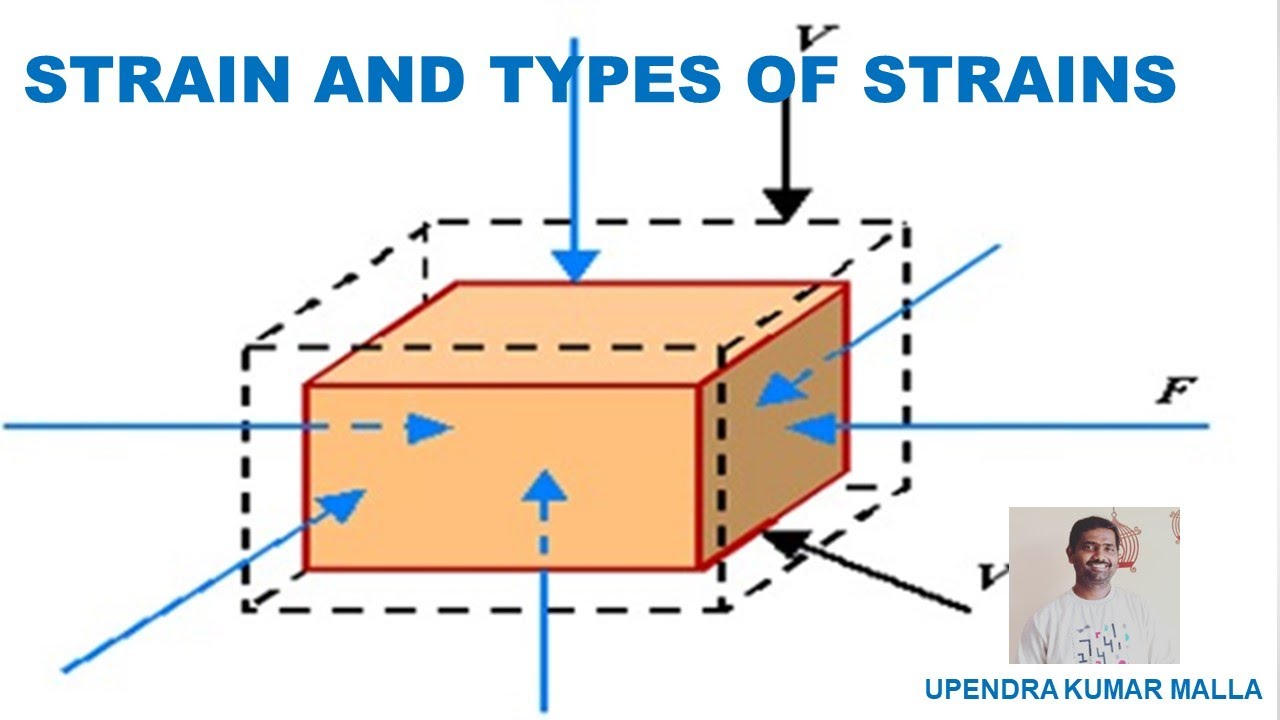 Strain Definition and Types Strains