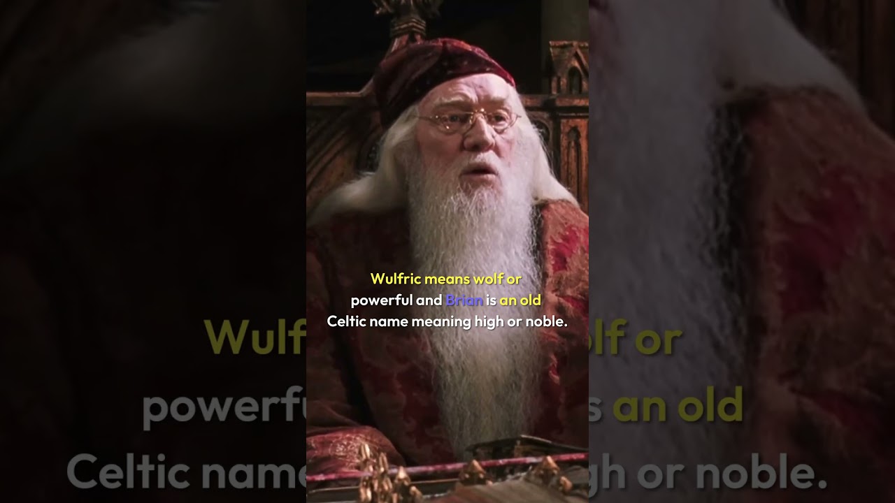 Dumbledore's DEEPER MEANING
