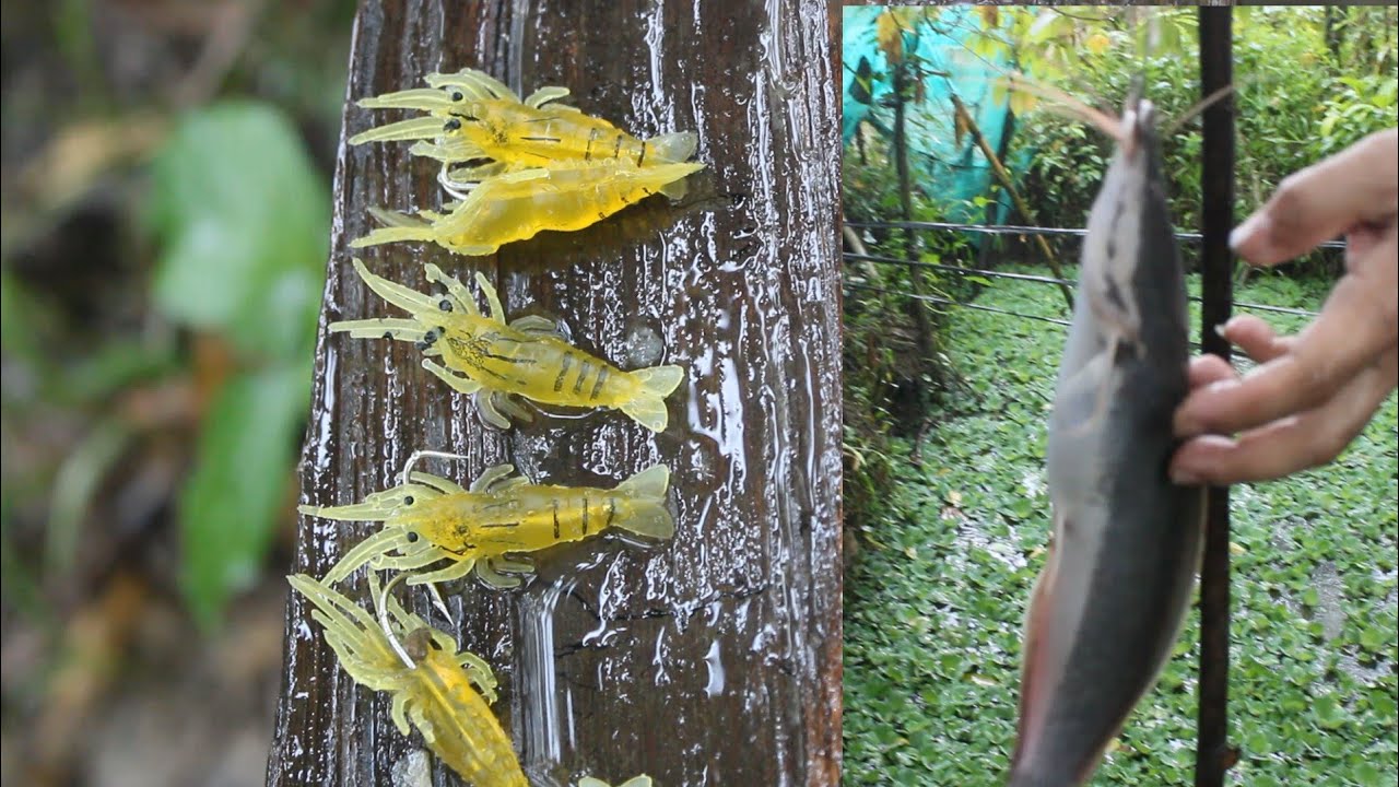 artificial bait for fishing! pwede kaya sa tubig tabang?