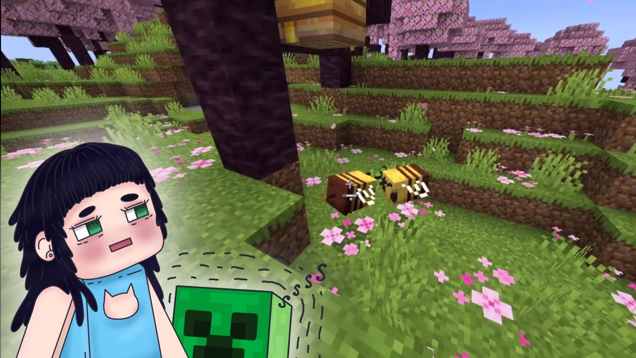 Minecraft - New World, Finding My Ideal Biome