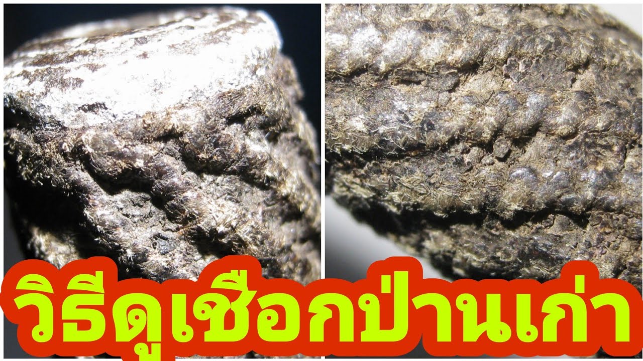 ตะกรุดหลวงพ่อคงวัดบางกะพ้อม