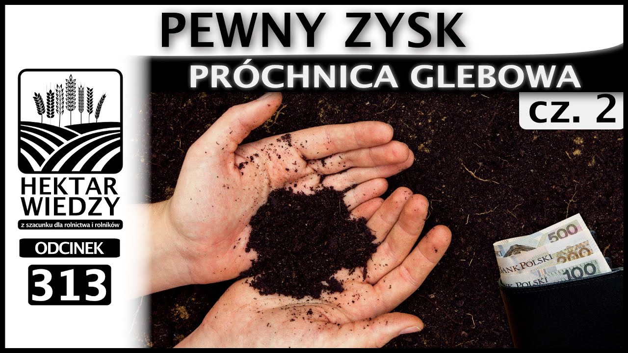 PEWNY ZYSK - PRÓCHNICA GLEBOWA. (Część 2.) | ODCINEK 313