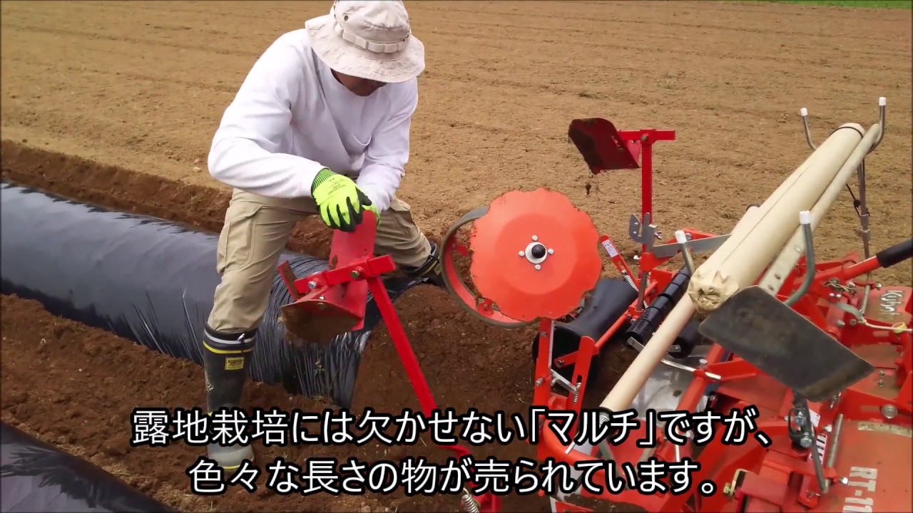 サツマイモの畝立て 繋ぎ目処理