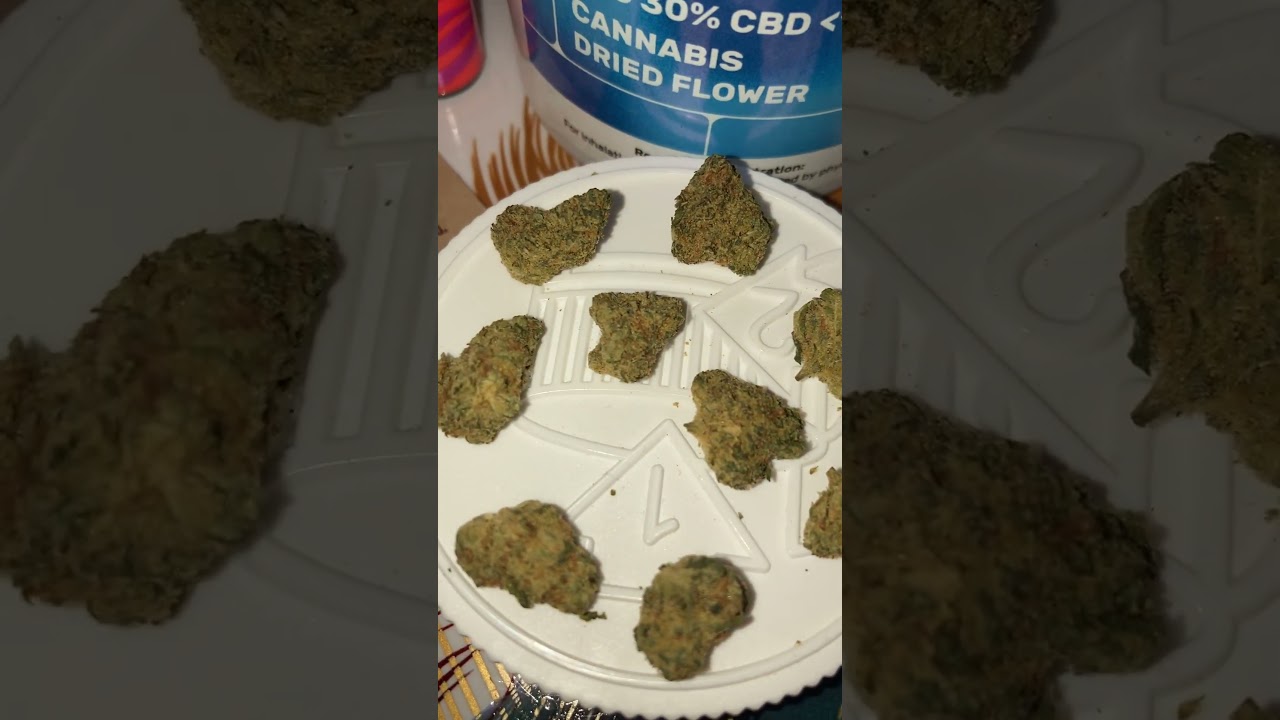 LIT-FOG FLORIDA OG 🔥🔥🔥🔥🔥 LEGAL MEDICAL CANNABIS PATIENT 2025