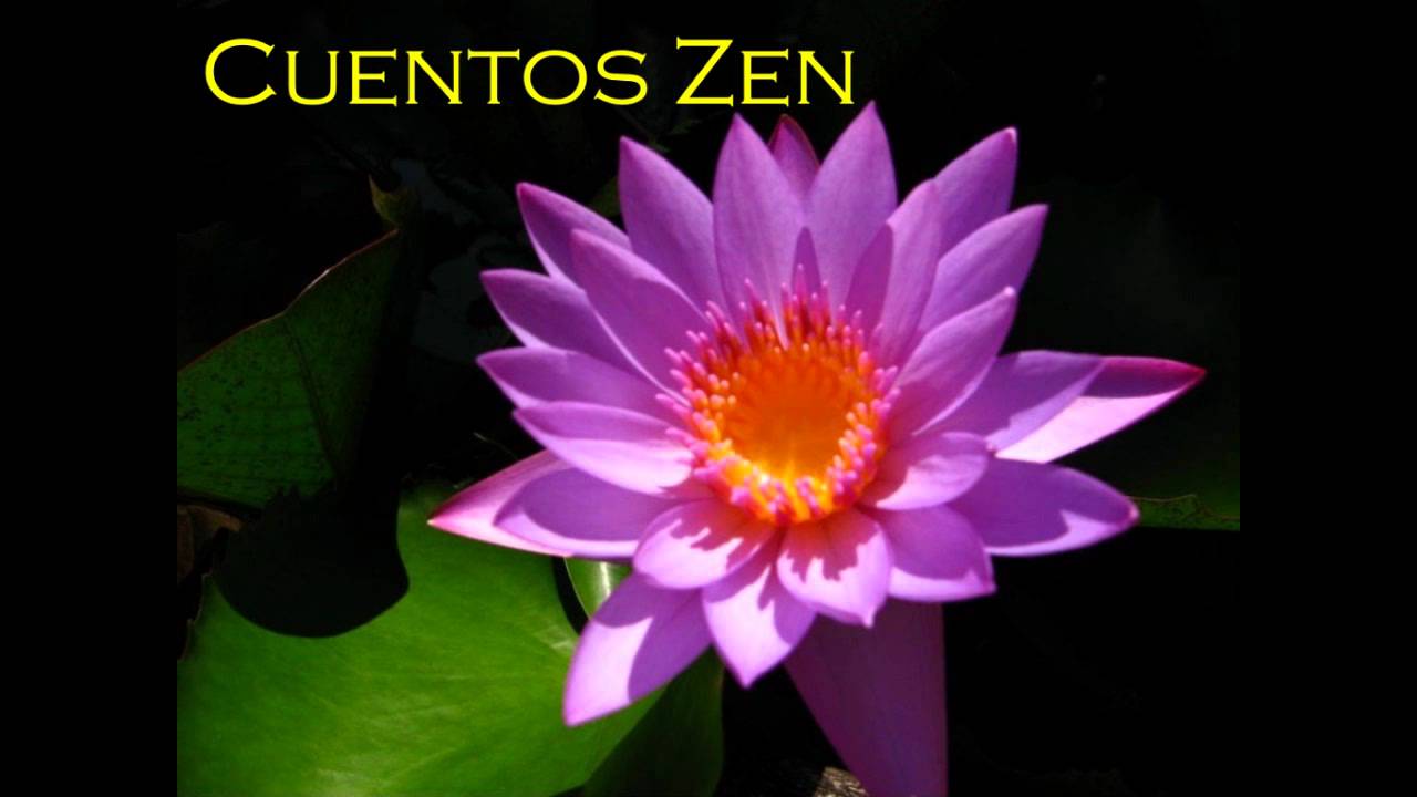 Cuentos Zen - El valor de las cosas