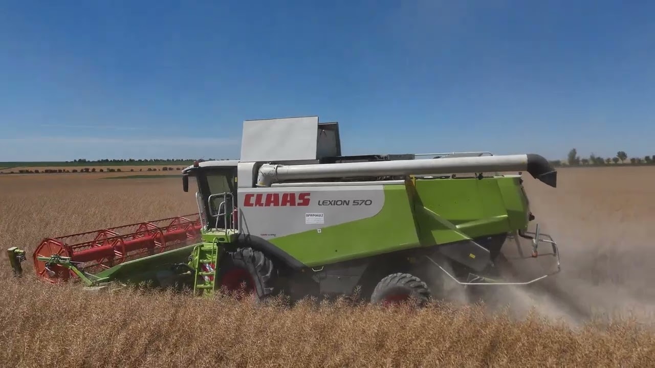 Apperçu du transfert de chanvre et de la moisson de colza  2025