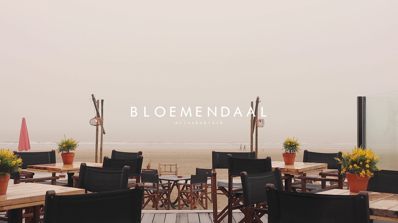 𝕄𝕦𝕤𝕚𝕔 𝕊𝕡𝕠𝕥𝕤 - Bloemendaal | Piano • Relaxing • Calm • Chill • Study • Ambience Playlist